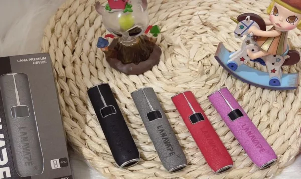 LANA 皮革主機細節特寫，展示雙槽結構與皮革紋理質感